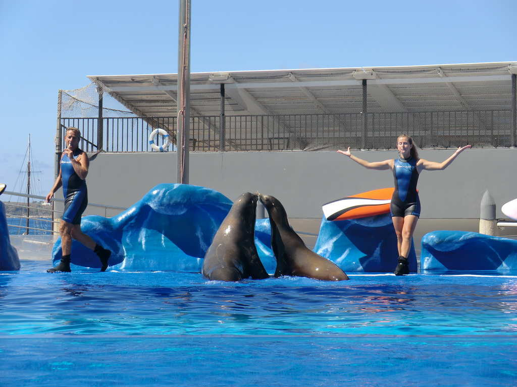 Vlet do Delfinria Marineland VI.