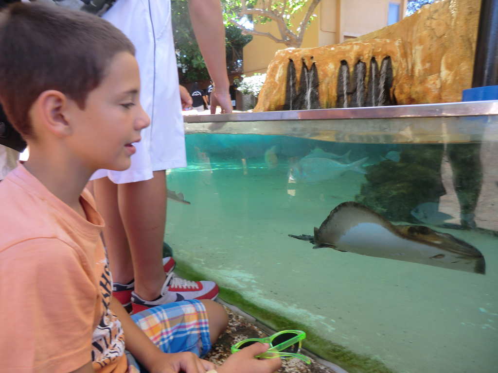 Vlet do Delfinria Marineland XV.