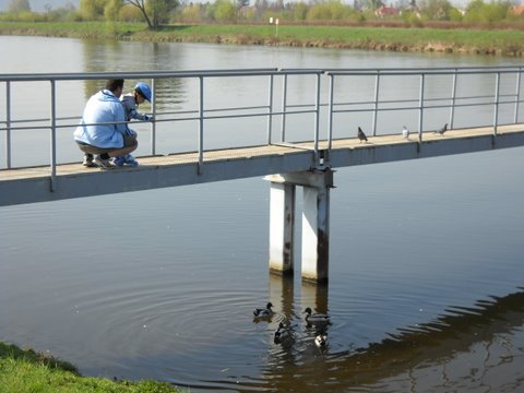 Skonili jsme krmenm kachniek a holub :-)