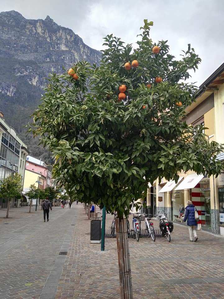 U Lago Di Garda V.