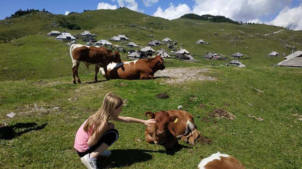 Velik Planina VIII.