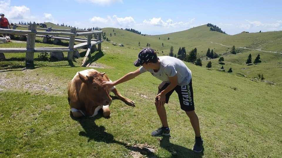 Velik Planina IX.