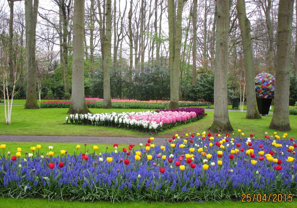 Keukenhof IX.