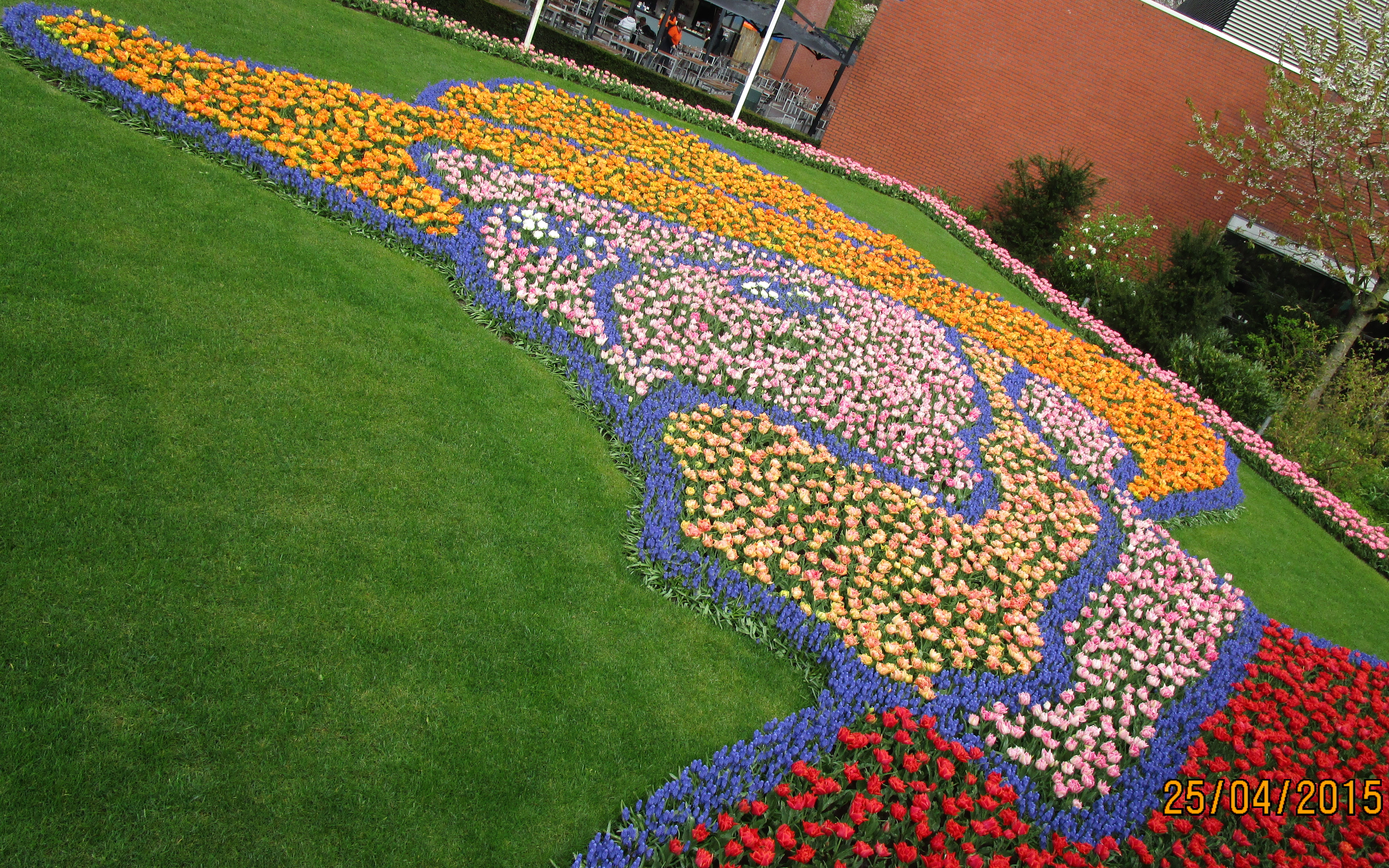 Keukenhof X. - kvtinov Van Gogh