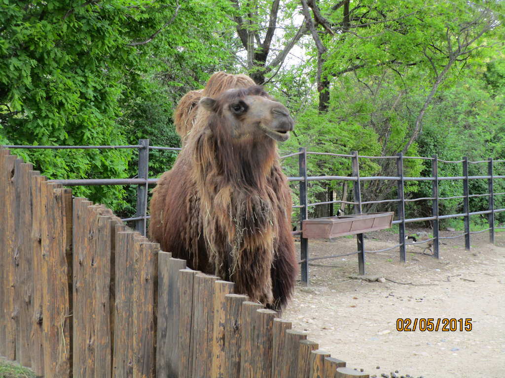 ZOO Praha VIII.