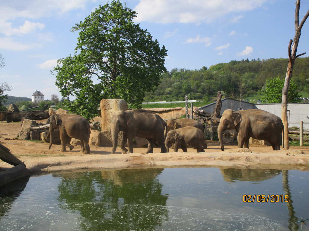 ZOO Praha XI.