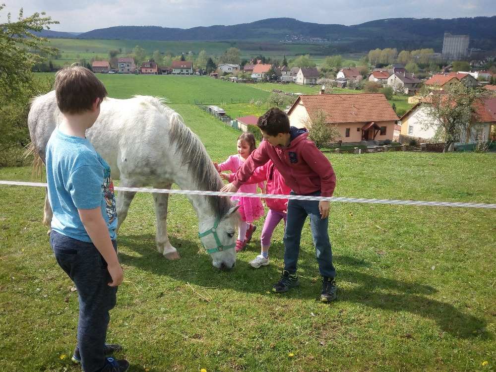 Konci u ns v Chodouni IV.