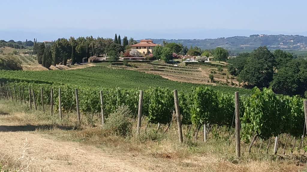 Agriturismo Colleverde, nae ubytovn