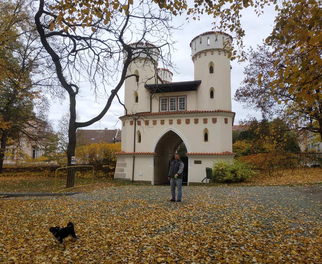 Zmek a zmeck park ve Vlaimi II.