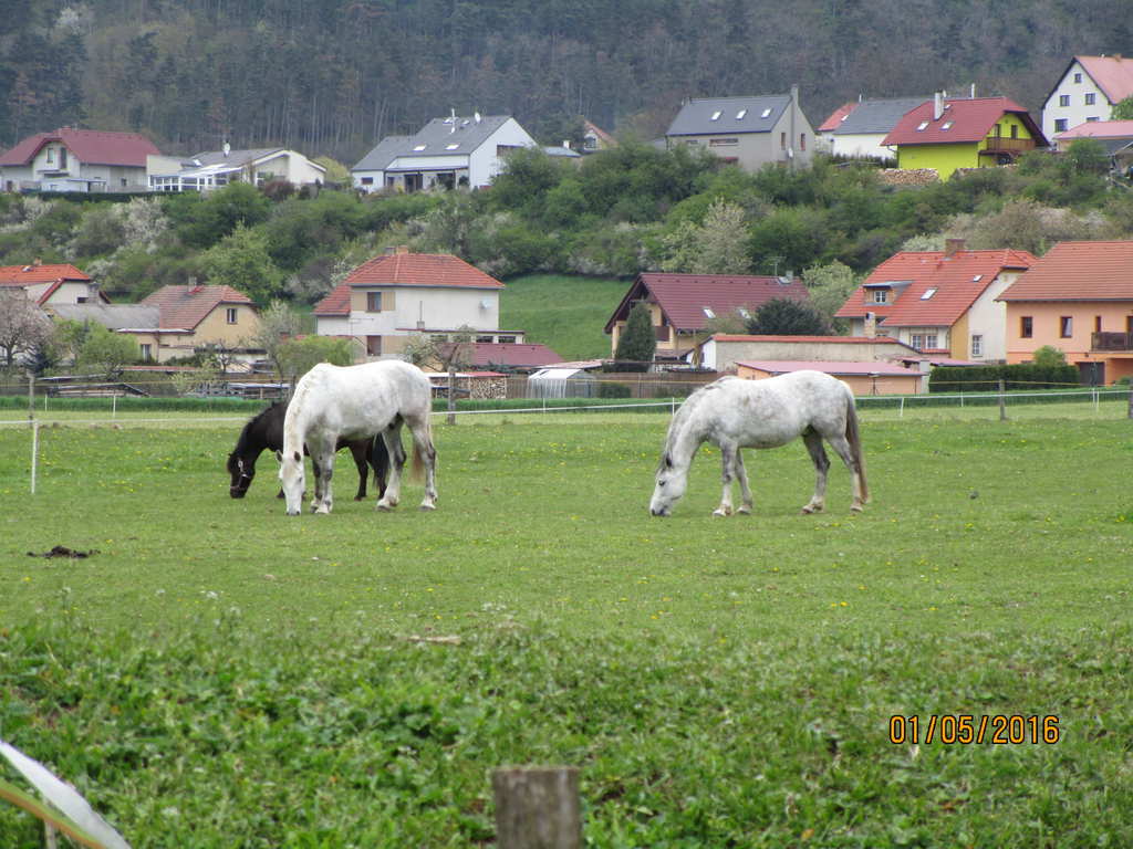 Prvomjov cyklovlet IV.