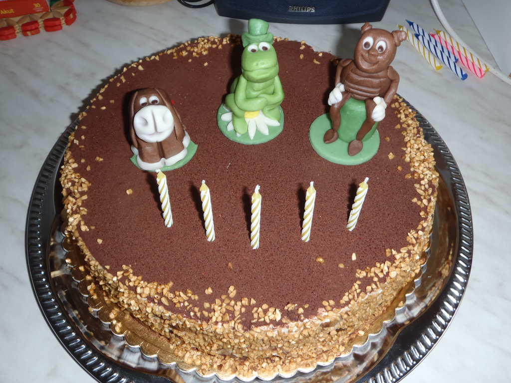 Druh narozeninov dortk (Fla 5 let)