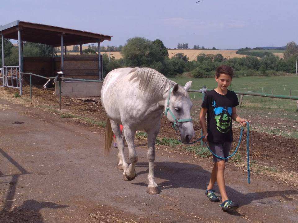 Projka na koncch :-)