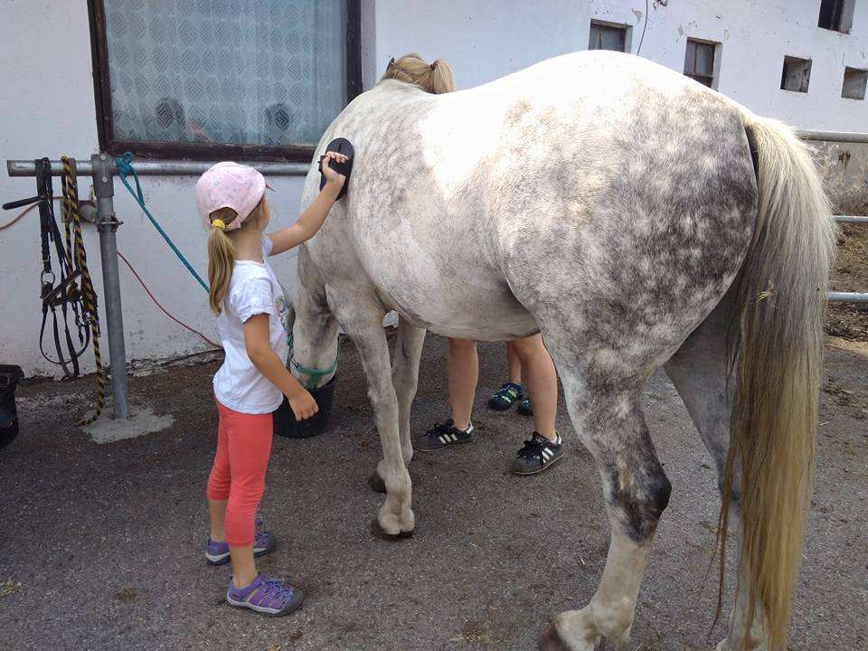 Projka na koncch III.