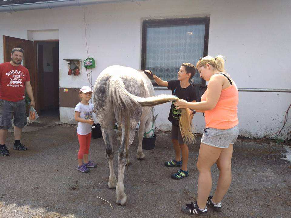 Projka na koncch IV.