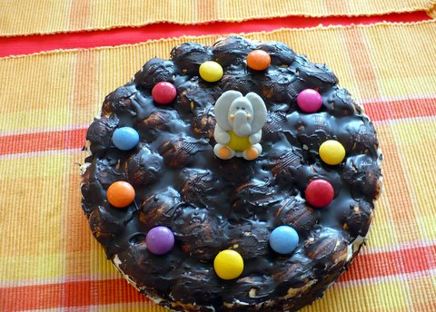 Mj dortk se slonem (Fla svtek 2008)