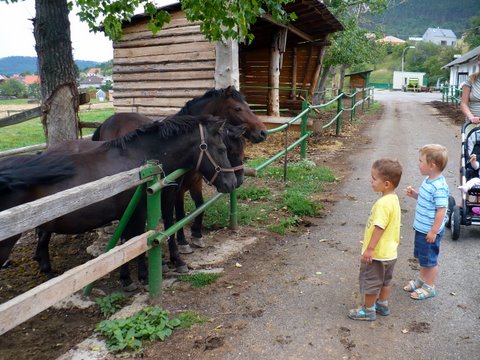 Vyrazili jsme se podvat na konky