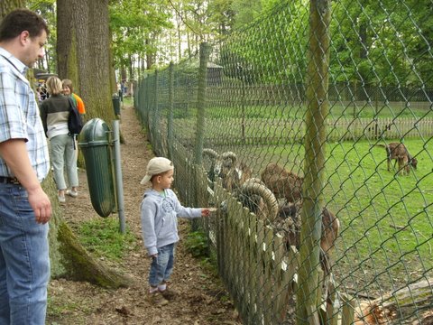 Krmm zvtka v mini zoo ve Frantikovch lznch