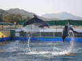 S babi a ddou v Turecku 26 - vlet za delfnky
