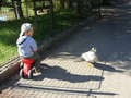 Kamardm s husou v ZOO parku v Chomutov :-)