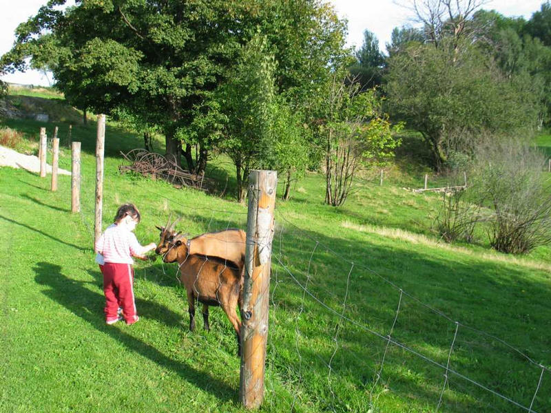 Andulka je zdatn farmka  :-)