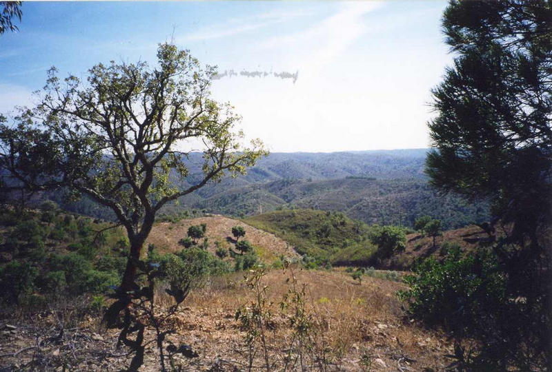 Portugalsko - poho Serra do Calderao