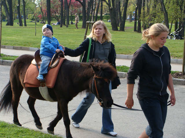 na ponkovi