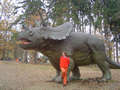 Triceratops