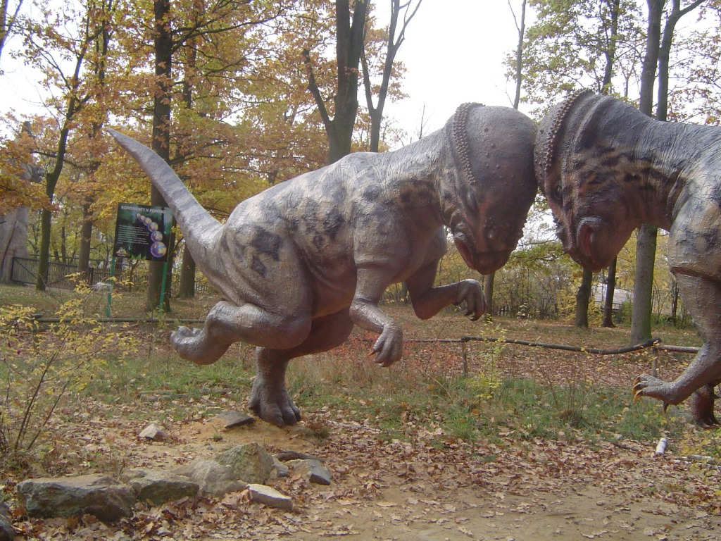 Pachycefalosaurus