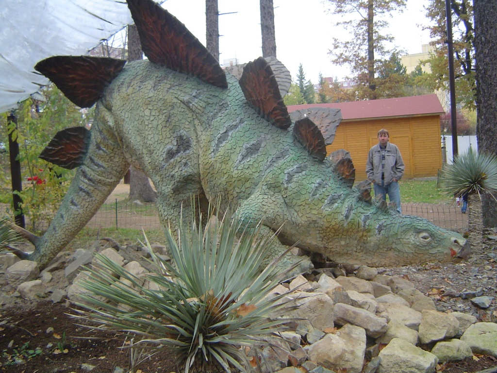 Stegosaurus