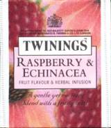 raspberry - echinacea