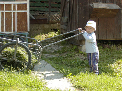 Presun k alej klietke