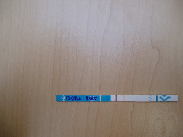 JANKA - TT 13DPO - 8 dn po ET