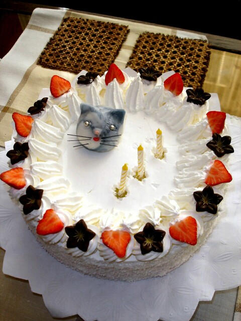 birthday cake with kitty