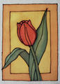 Tulipn v obdlnku 1