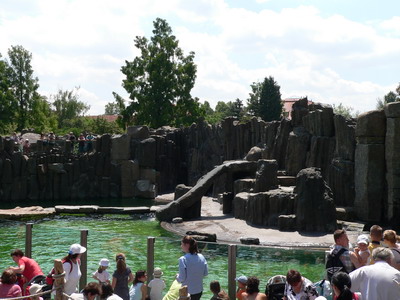 Lachtani ZOO Praha