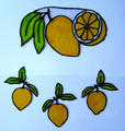 citrny-zvs